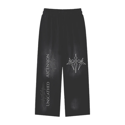 Washed Unscathed Ascension Pants V2