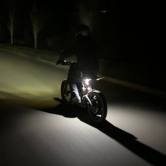 Talaria xxx plug and play rock light